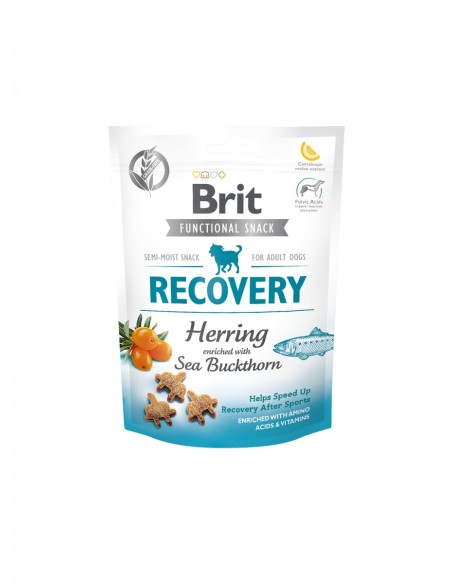 BRIT CARE SNACK RECOVERY 150GR