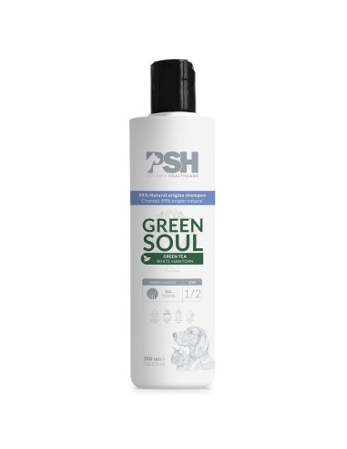 PSH HOME CHAMPU GREEN SOUL 300ML