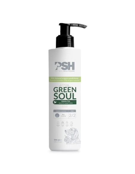 PSH HOME ACOND. GREEN SOUL 300ML