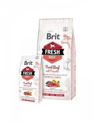 BRIT FRESH BEEF & PUMPKIN PUPPY LARGE 2,5KG