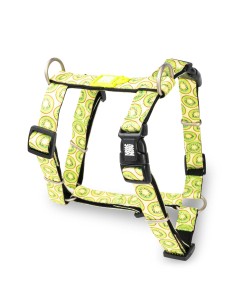 M&M ARNES H Kiwi XS (1.0 cm. x 24-39/32-40 cm.) Hasta 9 Kg.
