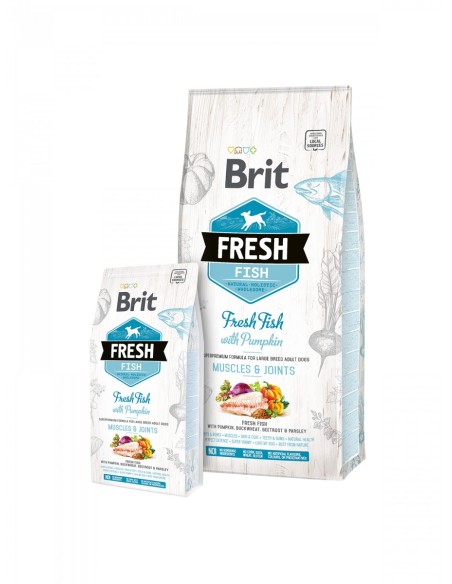 BRIT FRESH FISH & PUMPKIN ADULT LARGE 2,5KG