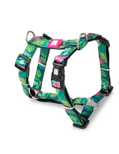M&M ARNES H Tropical M (2.0 cm. x 36-48/54-69 cm.) Hasta 27 Kg.