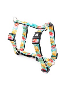 M&M ARNES H Exotic L (2.5 cm. x 46-77/71-98 cm.) Hasta 40 Kg.
