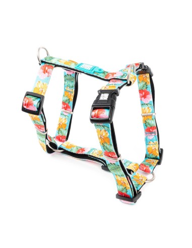 M&M ARNES H Exotic L (2.5 cm. x 46-77/71-98 cm.) Hasta 40 Kg.