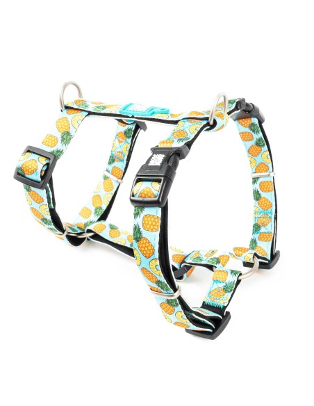 M&M ARNES H Sweet Pineapple M (2.0 cm. x 36-48/54-69 cm.) Hasta 27 Kg.