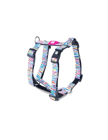 M&M ARNES H Magic Cebra XS (1.0 cm. x 24-39/32-40 cm.) Hasta 9 Kg.