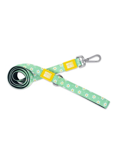 M&M CORREA CORTA Margarite L (2.5 cm. x 120 cm.)