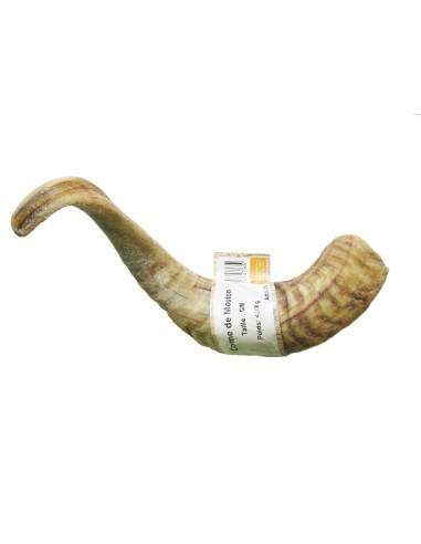 BBX CUERNO DE OVEJA TALLA S/M 200GR