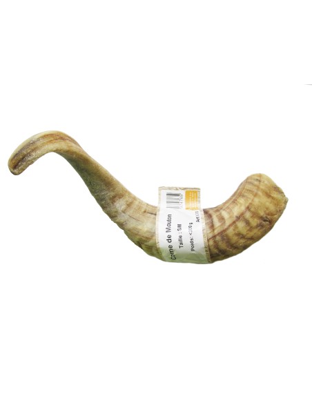 BBX CUERNO DE OVEJA TALLA S/M 200GR
