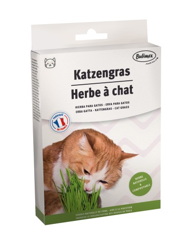 BBX HIERBA PARA GATOS 100GR