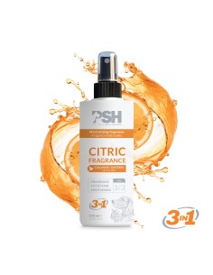 PSH CITRIC MOISTURIZING FRAGRANCE 100ML