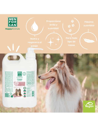 MENFORSAN CHAMPU PROTEINAS DE SEDA Y ACEITE DE ARGAN 5L (2UD)