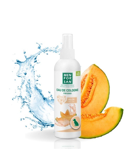 MENFORSAN AGUA COLONIA MELON 125 ML (12UD)