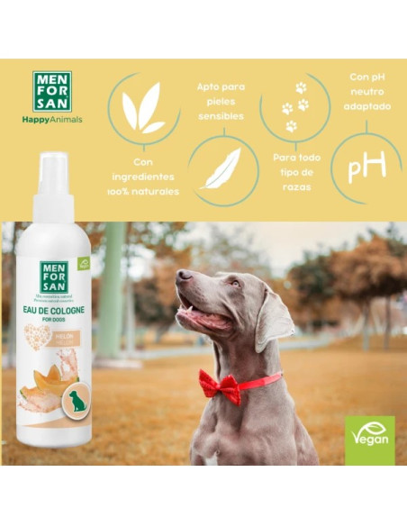 MENFORSAN AGUA COLONIA MELON 125 ML (12UD)