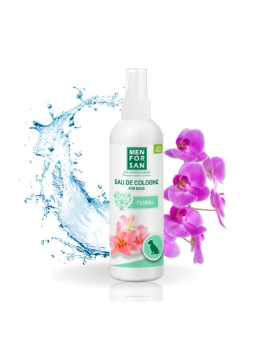 MENFORSAN AGUA COLONIA FLORAL 125 ML (12UD)