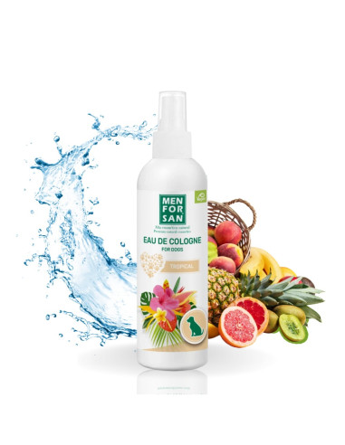 MENFORSAN AGUA COLONIA TROPICAL 125 ML (12UD)