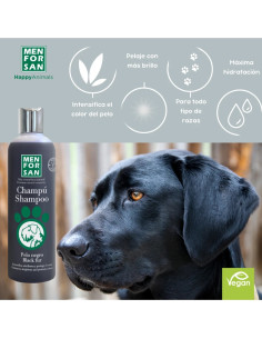 MENFORSAN CHAMPU PELO NEGRO 300 ML (12UD) 2