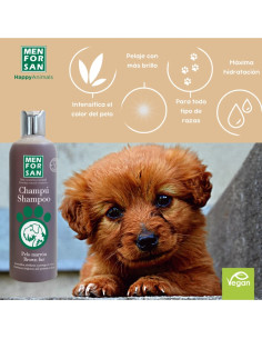 MENFORSAN CHAMPU PELO MARRON 300 ML (12UD) 2