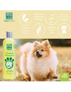 MENFORSAN CHAMPU ANTICASPA CON LIMON 300 ML (12UD) 2