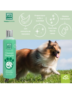 MENFORSAN CHAMPU HIDRATANTE CON MANZANA VERDE 300 ML (12UD) 2