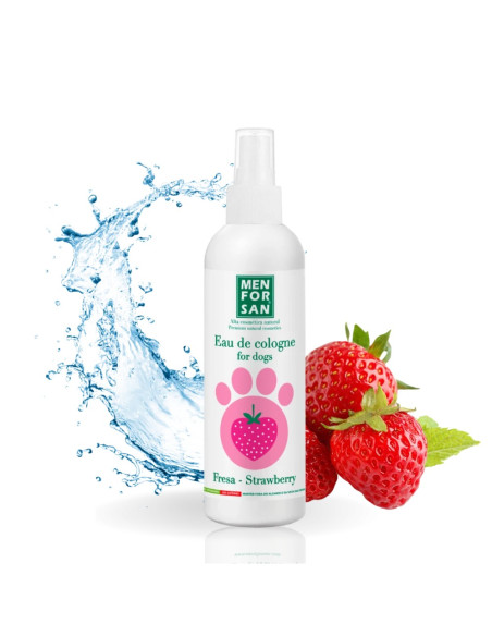MENFORSAN AGUA COLONIA FRESA 125 ML (12UD)