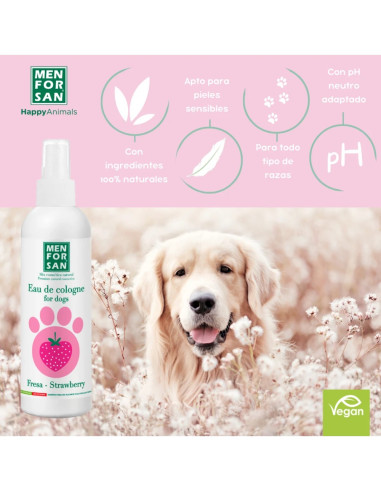 MENFORSAN AGUA COLONIA FRESA 125 ML (12UD)