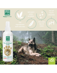 MENFORSAN AGUA COLONIA CANELA 125 ML (12UD) 2