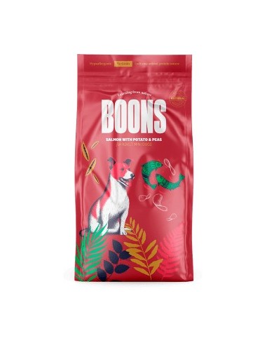 BOONS ADULT MINI SALMON 2KG