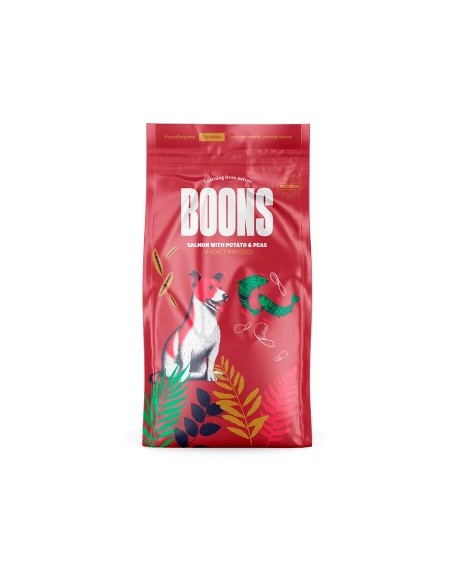 BOONS ADULT MINI SALMON 2KG