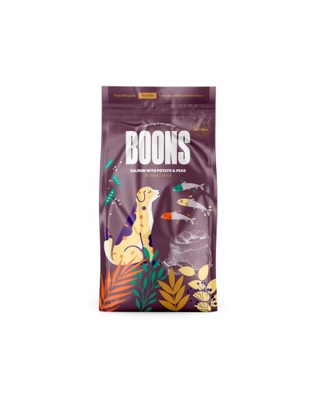 BOONS ADULT SALMON 2KG