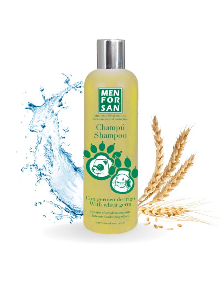 MENFORSAN CHAMPU ROEDORES GERMEN TRIGO 300ML (12UD)