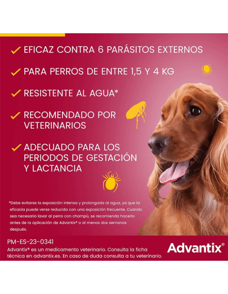ADVANTIX PIPETA 10-25KG (24*2.5 ml) ENVASE CLINICO