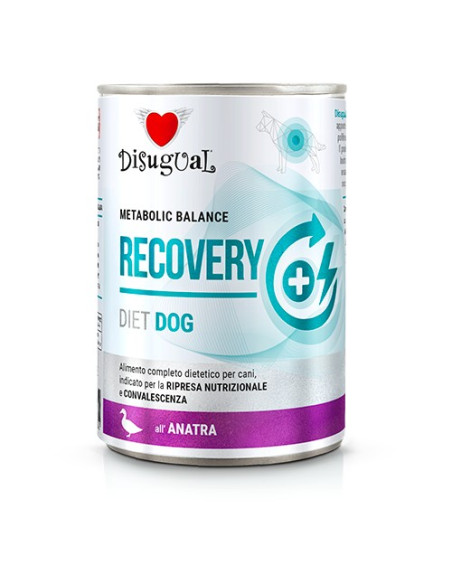 DISUGUAL DOG DIET RECOVERY DUCK 400 GR (6)