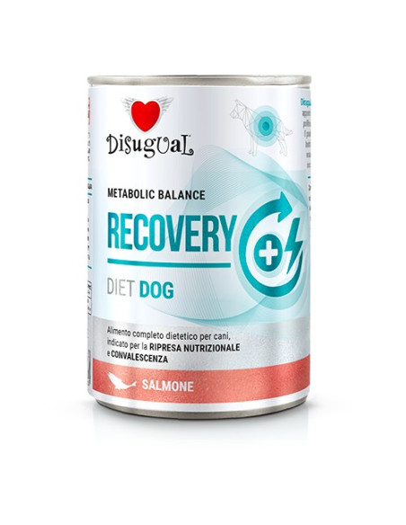 DISUGUAL DOG DIET RECOVERY SALMON 400 GR (6)