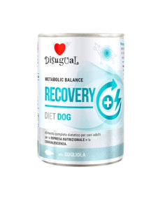DISUGUAL DOG DIET RECOVERY SOLE 400 GR (6)