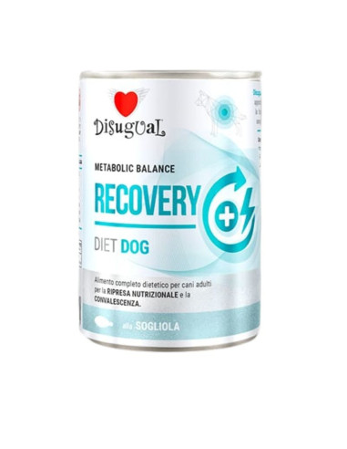 DISUGUAL DOG DIET RECOVERY SOLE 400 GR (6)
