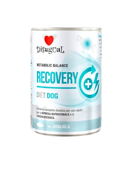 DISUGUAL DOG DIET RECOVERY SOLE 400 GR (6)