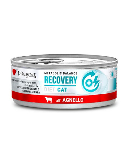DISUGUAL CAT DIET RECOVERY LAMB 85 GR (12)