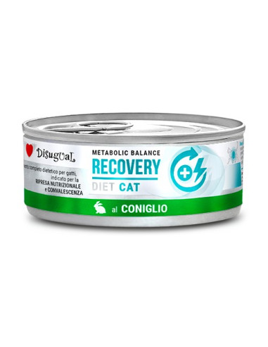 DISUGUAL CAT DIET RECOVERY RABBIT 85 GR (12)