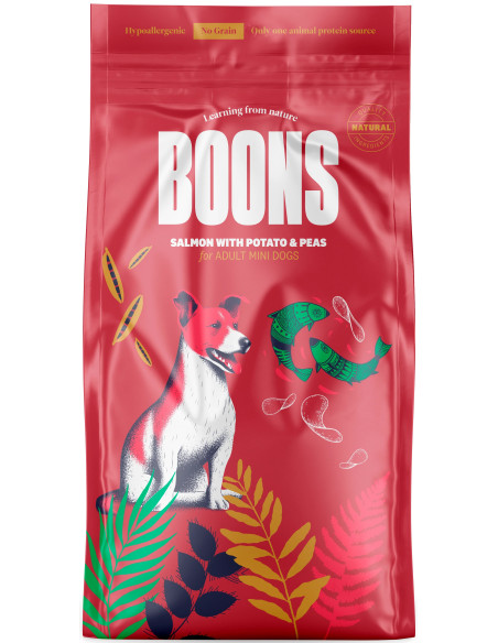 BOONS ADULT MINI SALMON 2KG