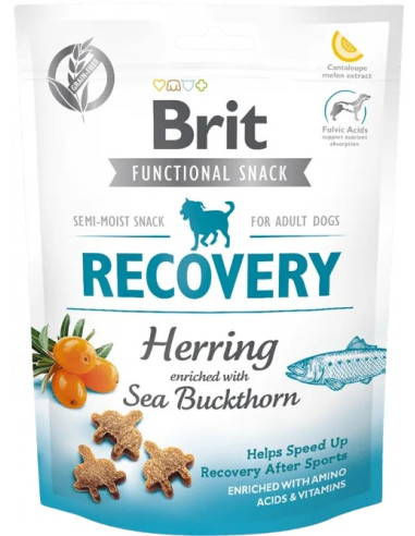 BRIT CARE DOG SNACK RECOVERY 150GR