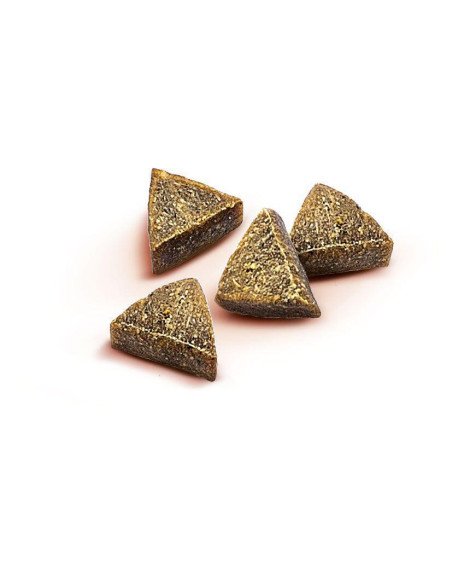 BRIT CARE DOG SNACK ANTIPARASITIC 150GR
