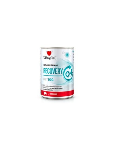 *RECOVERY* LAMB DISUGUAL DIET DOG WET FOOD 400 GR (6)