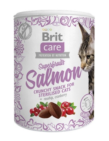 BRIT CARE CAT SNACK SUPERFRUITS SALMON STERILIZED 100 GR