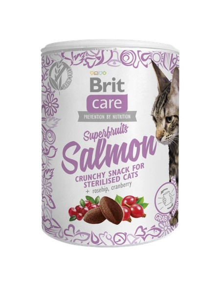 BRIT CARE CAT SNACK SUPERFRUITS SALMON STERILIZED 100 GR