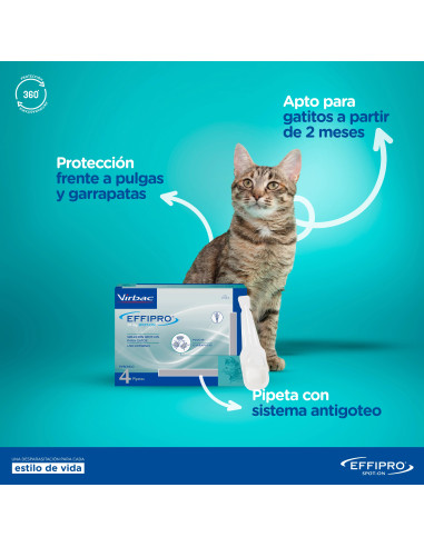 EFFIPRO GATO 24 PIPETAS