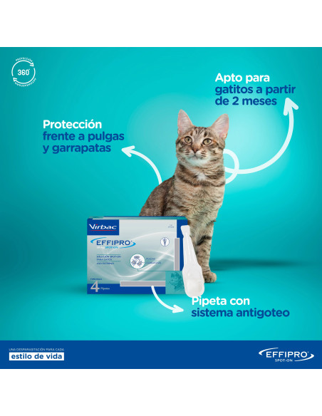EFFIPRO GATO 24 PIPETAS