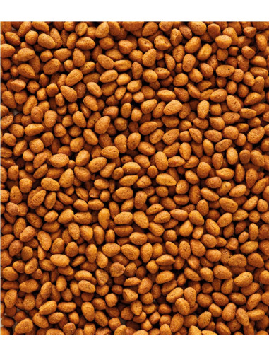 NUTRIBIRD COTORRAS G14 MANT. 10KG