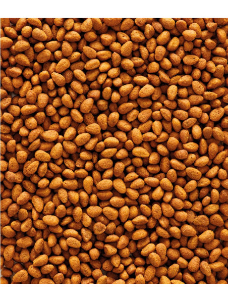 NUTRIBIRD COTORRAS G14 MANT. 10KG